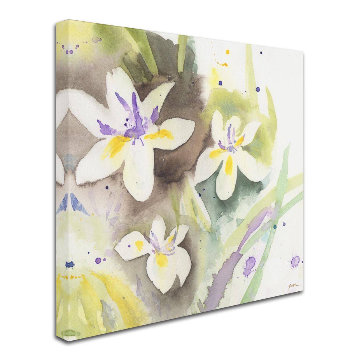 Sheila Golden 'White Iris' Huge Canvas Art 35 X 35