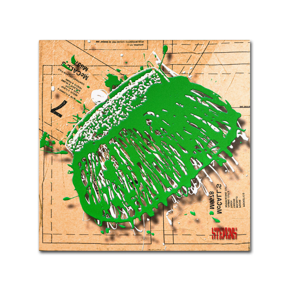 Roderick Stevens 'Snap Purse Green' Huge Canvas Art 35 X 35