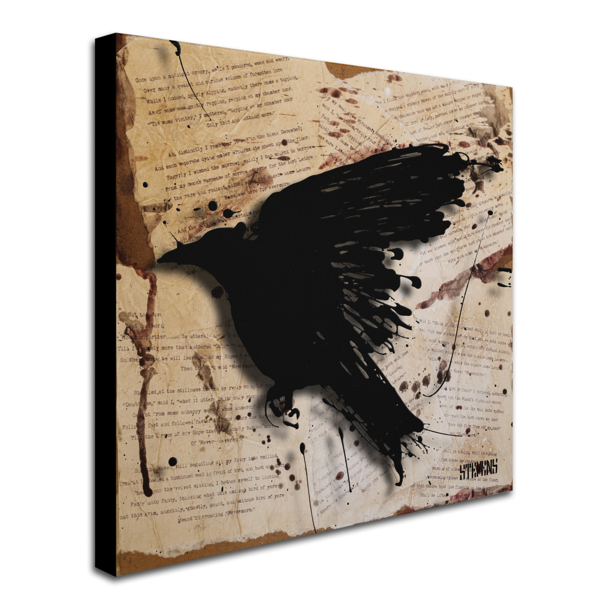 Roderick Stevens 'The Raven 3' Huge Canvas Art 35 X 35