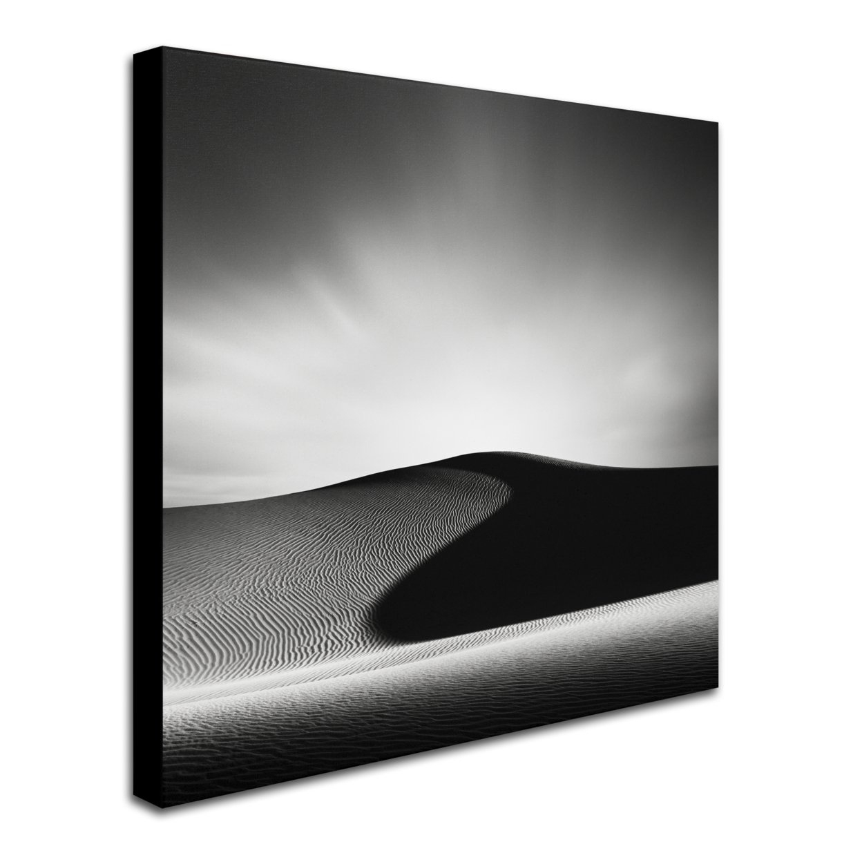 Dave MacVicar 'Dark Shadows' Huge Canvas Art 35 X 35