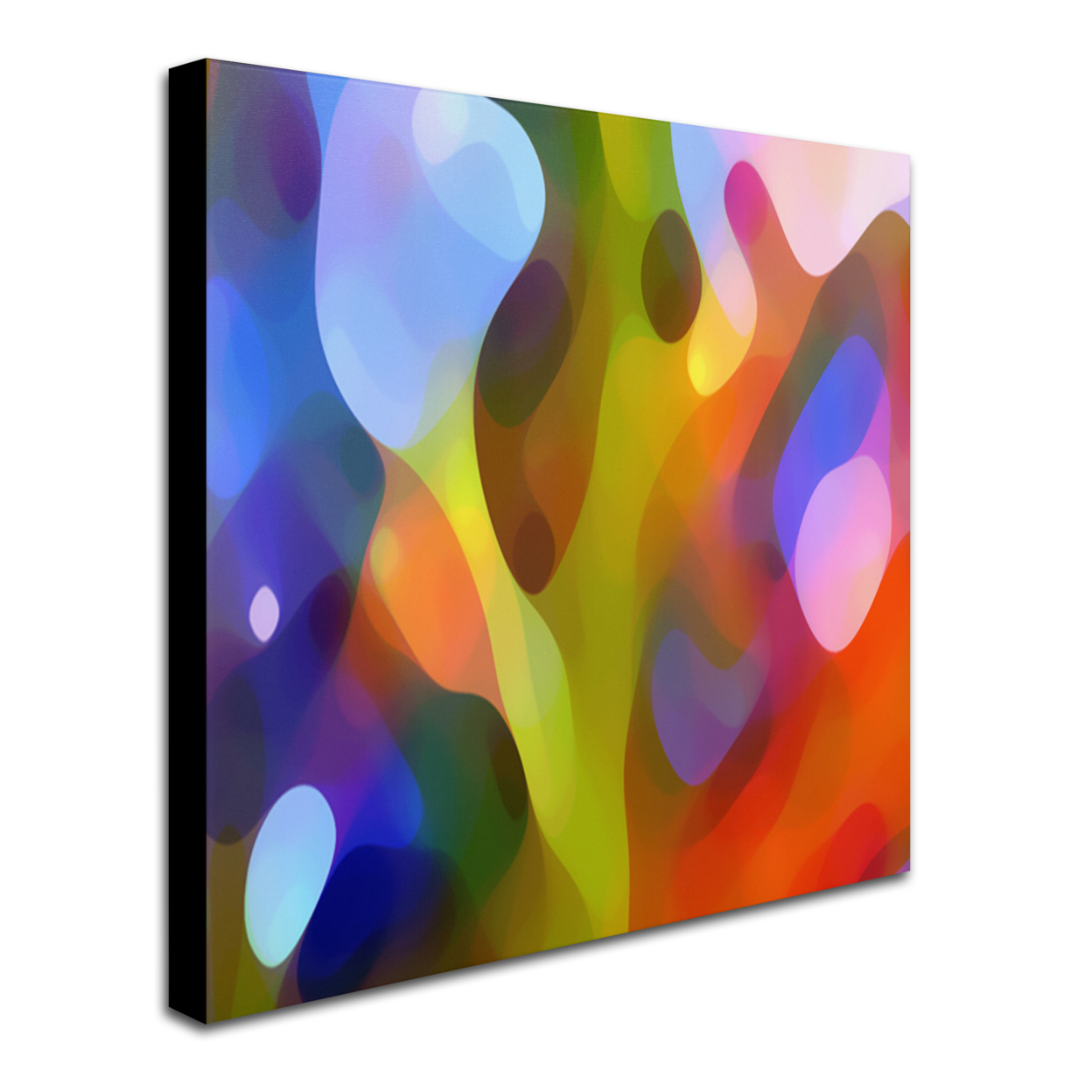 Amy Vangsgard 'Dappled Light 15' Huge Canvas Art 35 X 35