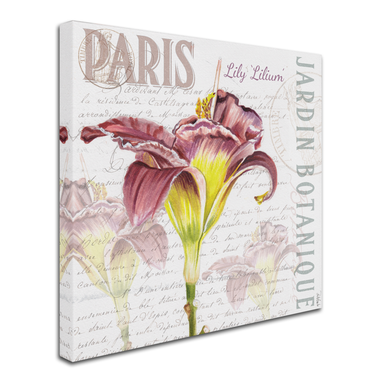 Jennifer Redstreake 'Paris Botanique Lily Burgundy' Huge Canvas Art 35 X 35