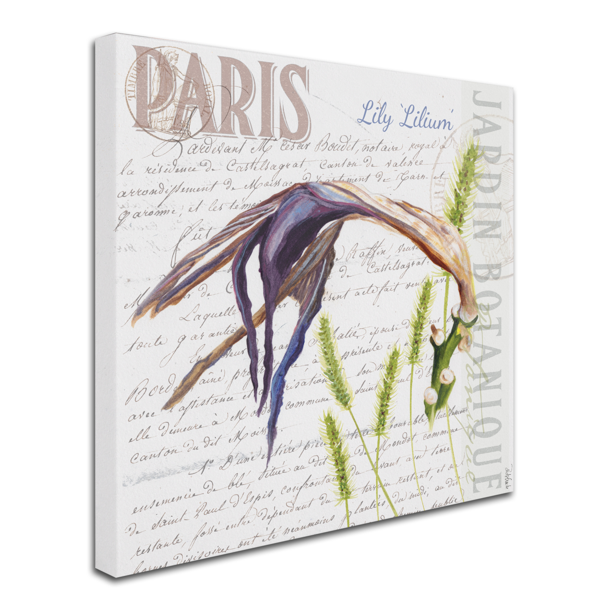 Jennifer Redstreake 'Paris Botanique Lily Purple' Huge Canvas Art 35 X 35