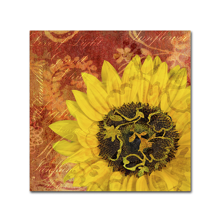 Cora Niele 'Sunflower - Love Of Light' Huge Canvas Art 35 X 35