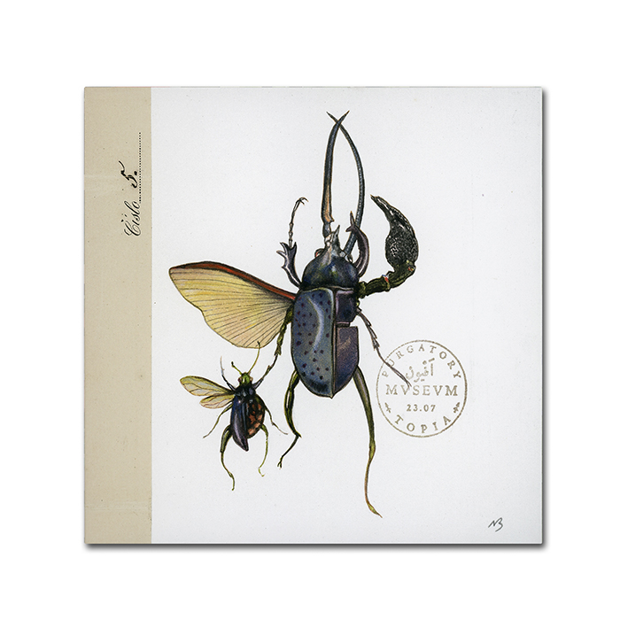 Nick Bantock 'Morph Insects' Huge Canvas Art 35 X 35