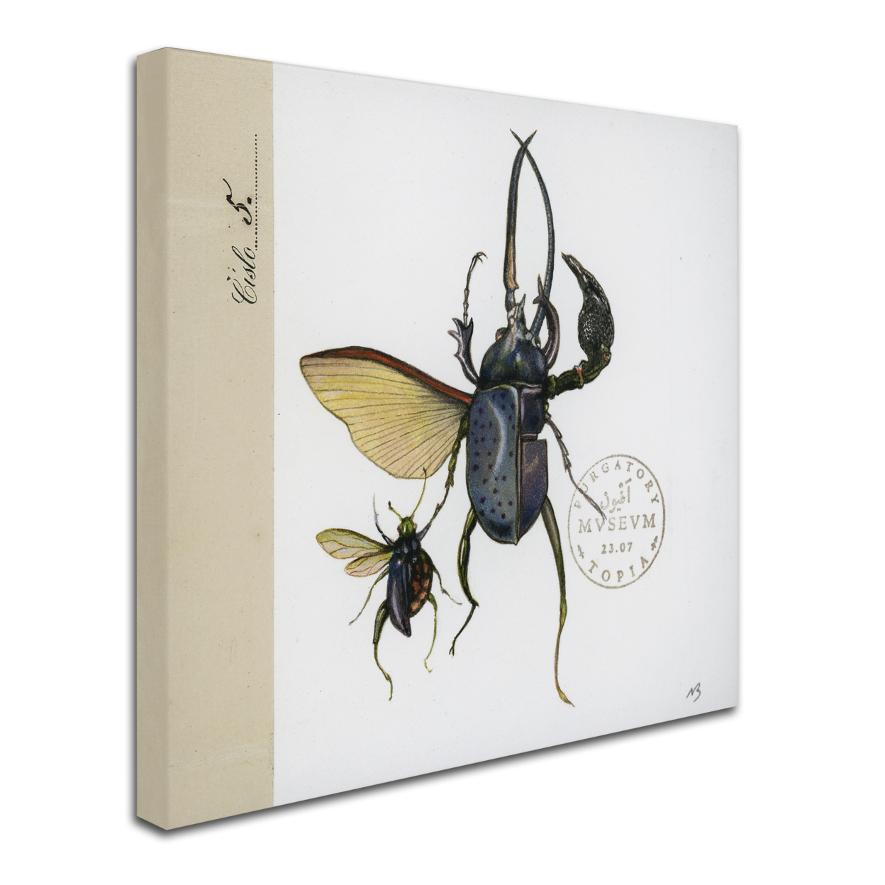 Nick Bantock 'Morph Insects' Huge Canvas Art 35 X 35