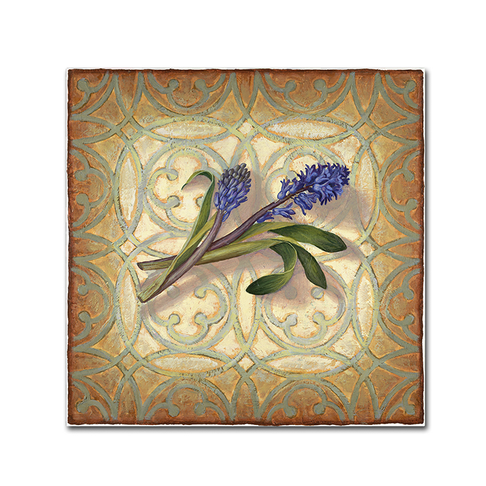 Rachel Paxton 'Purple Hyacinth' Huge Canvas Art 35 X 35