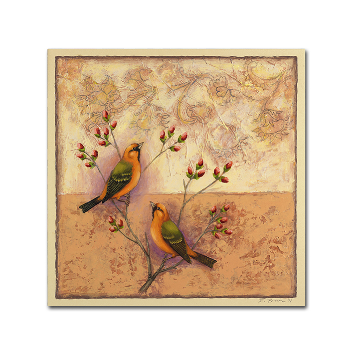 Rachel Paxton 'Two Orange Birds' Huge Canvas Art 35 X 35