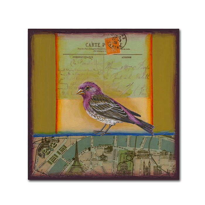 Rachel Paxton 'Purple Finch' Huge Canvas Art 35 X 35