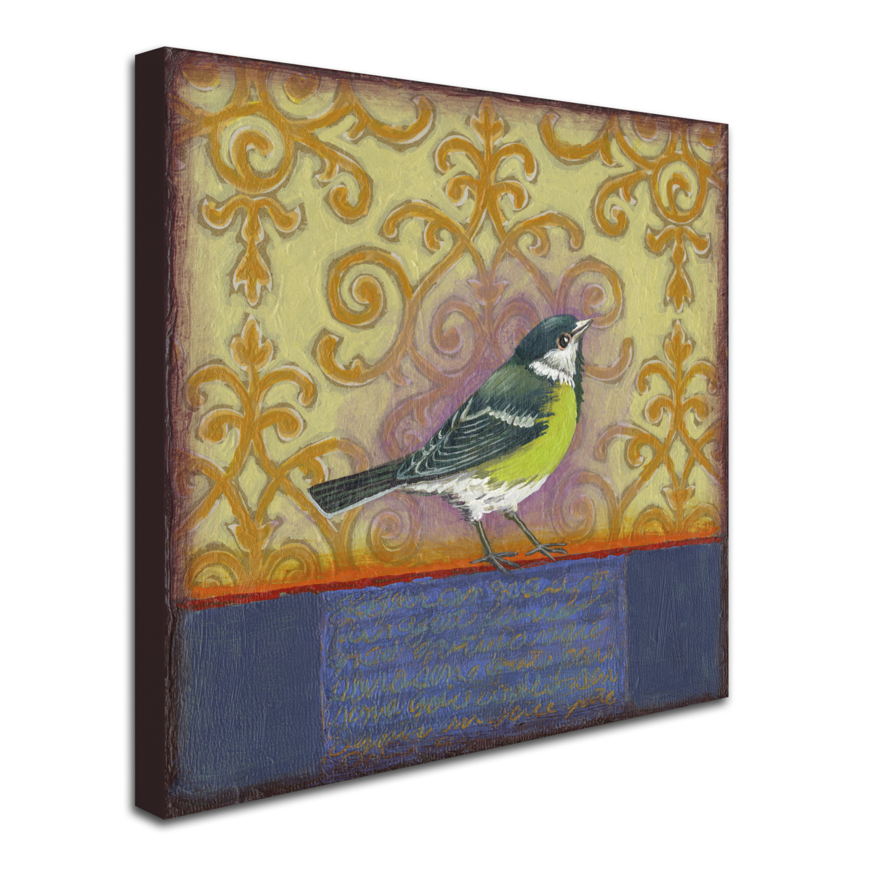 Rachel Paxton 'Small Bird 232' Huge Canvas Art 35 X 35