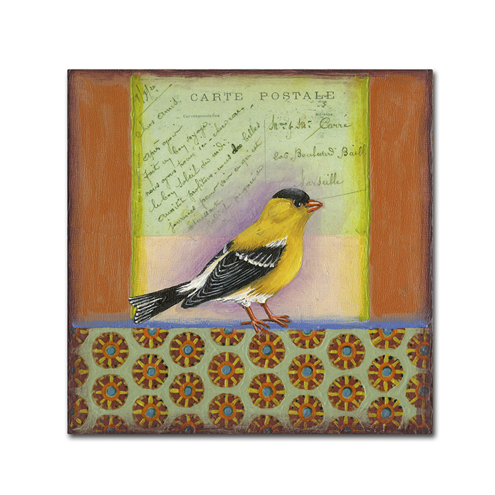 Rachel Paxton 'Small Bird 221' Huge Canvas Art 35 X 35