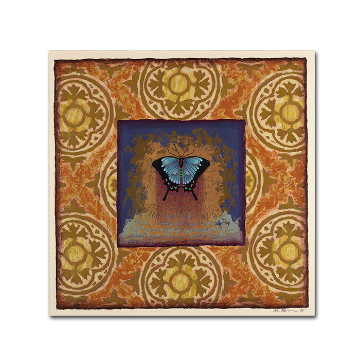 Rachel Paxton 'Dunster Street Butterfly' Huge Canvas Art 35 X 35