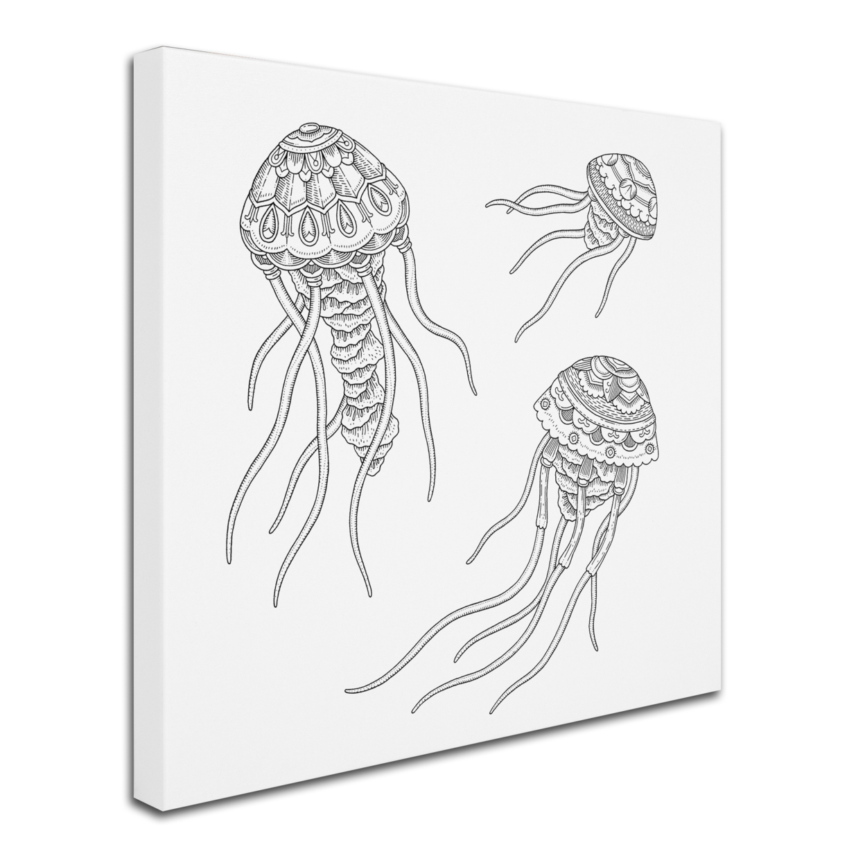 Filippo Cardu 'Jellyfish Family' Huge Canvas Art 35 X 35