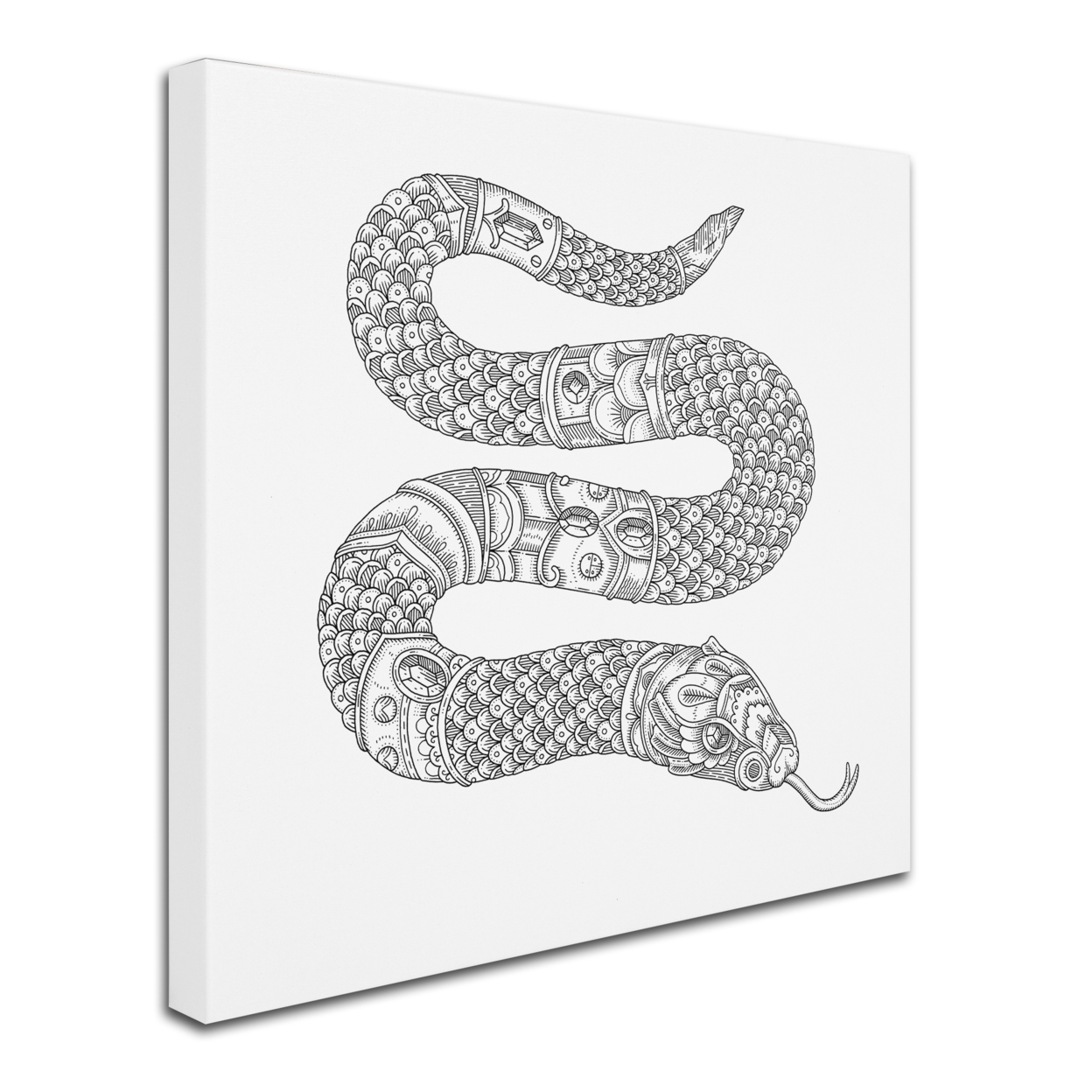 Filippo Cardu 'Jewel Snake' Huge Canvas Art 35 X 35