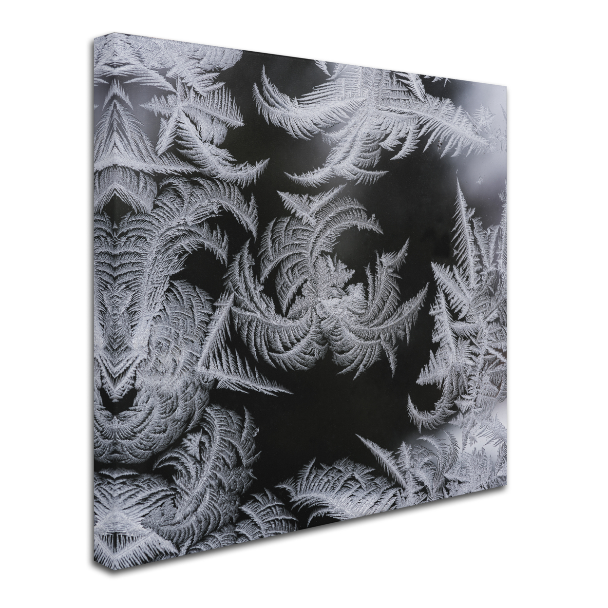 Kurt Shaffer 'Window Frost Pattern 2' Huge Canvas Art 35 X 35
