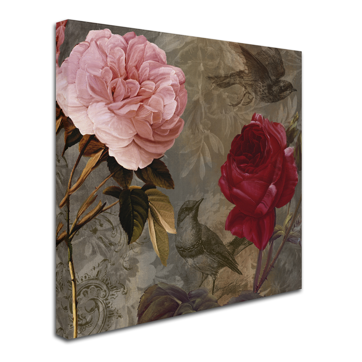 Color Bakery 'Bird And Roses' Huge Canvas Art 35 X 35