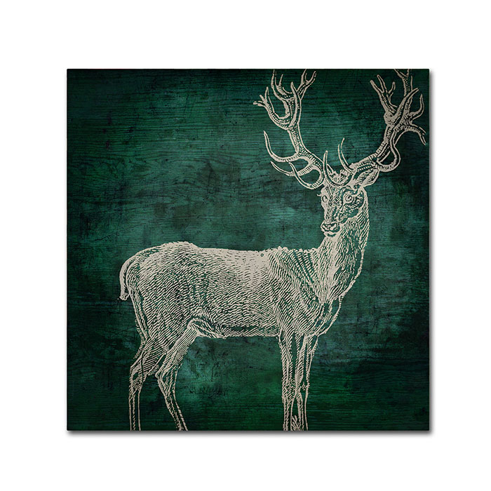 Color Bakery 'Emerald Deer' Huge Canvas Art 35 X 35