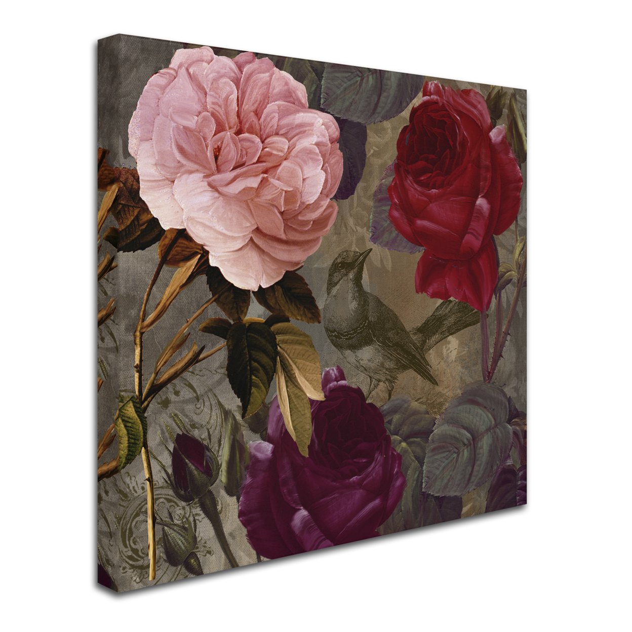 Color Bakery 'Birds And Roses' Huge Canvas Art 35 X 35