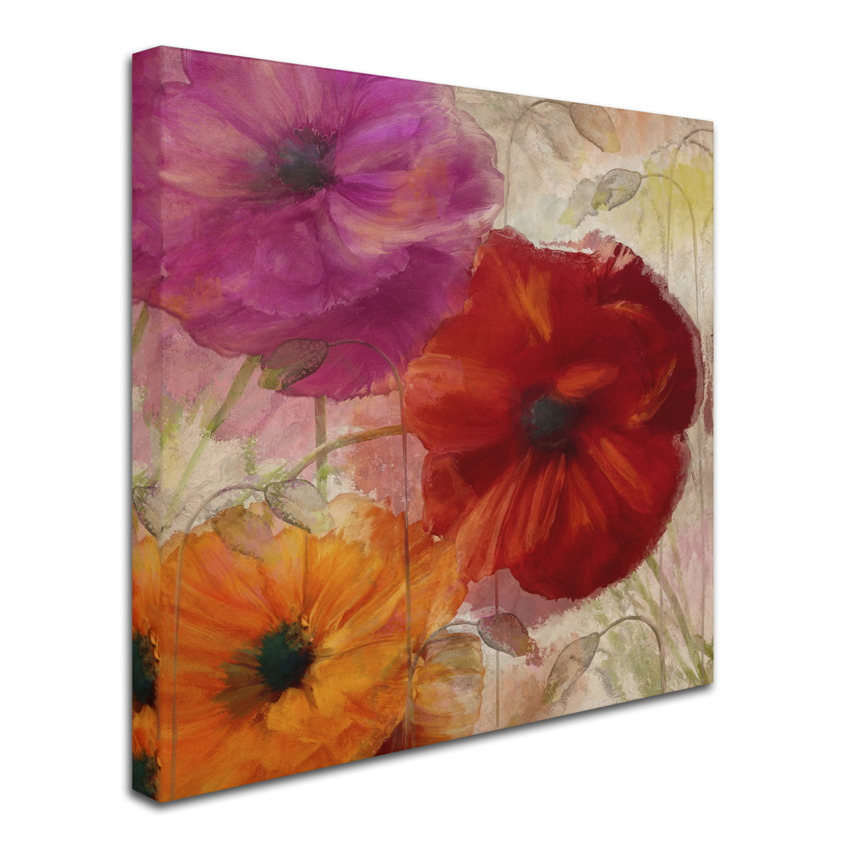 Color Bakery 'Penchant For Poppies I' Huge Canvas Art 35 X 35