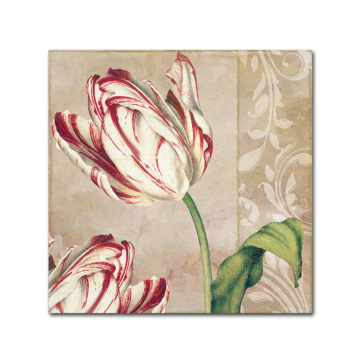 Color Bakery 'Peppermint Tulips I' Huge Canvas Art 35 X 35