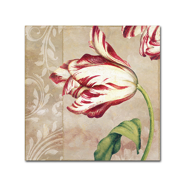 Color Bakery 'Peppermint Tulips II' Huge Canvas Art 35 X 35