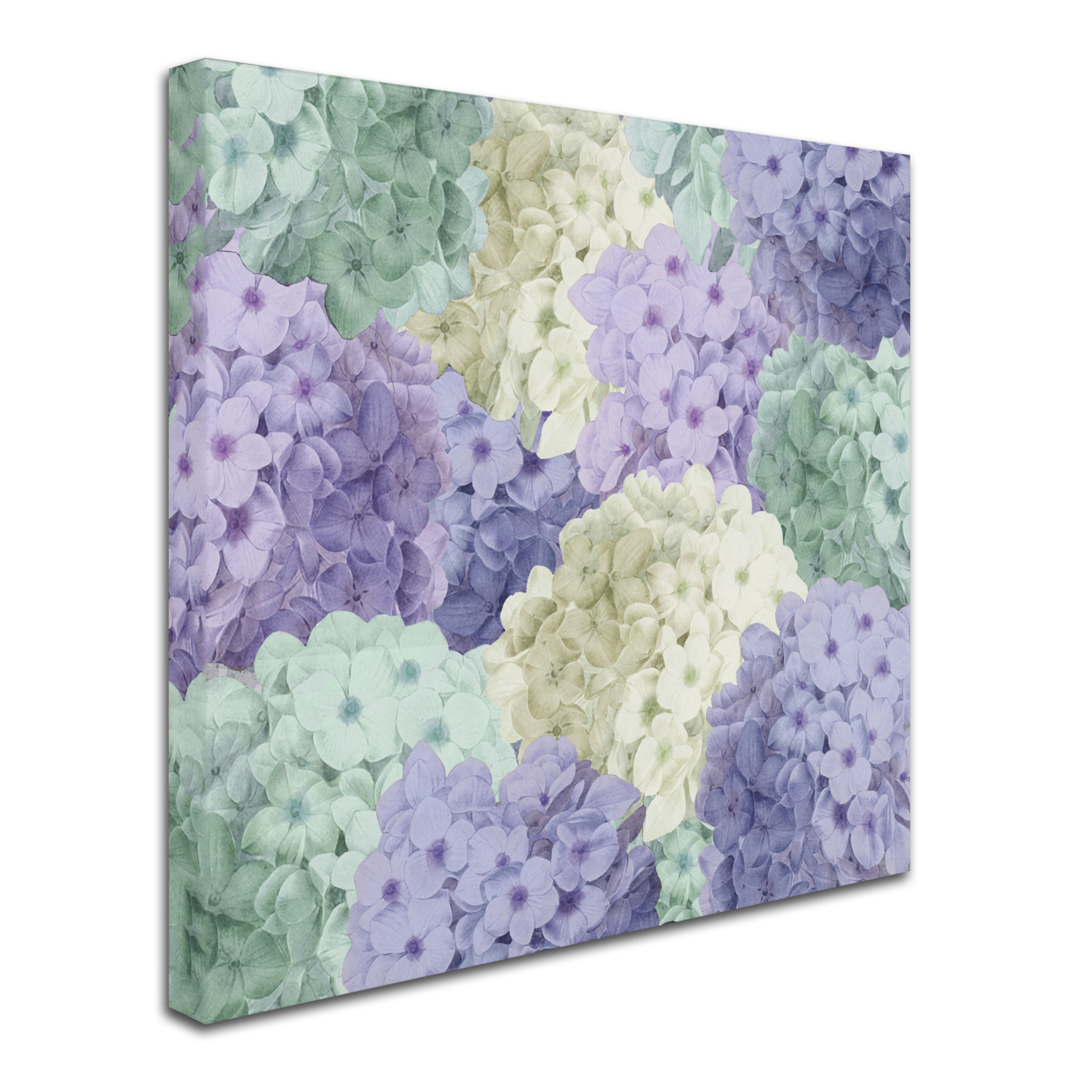 Color Bakery 'Hortensia Groundless Cool Tones' Huge Canvas Art 35 X 35