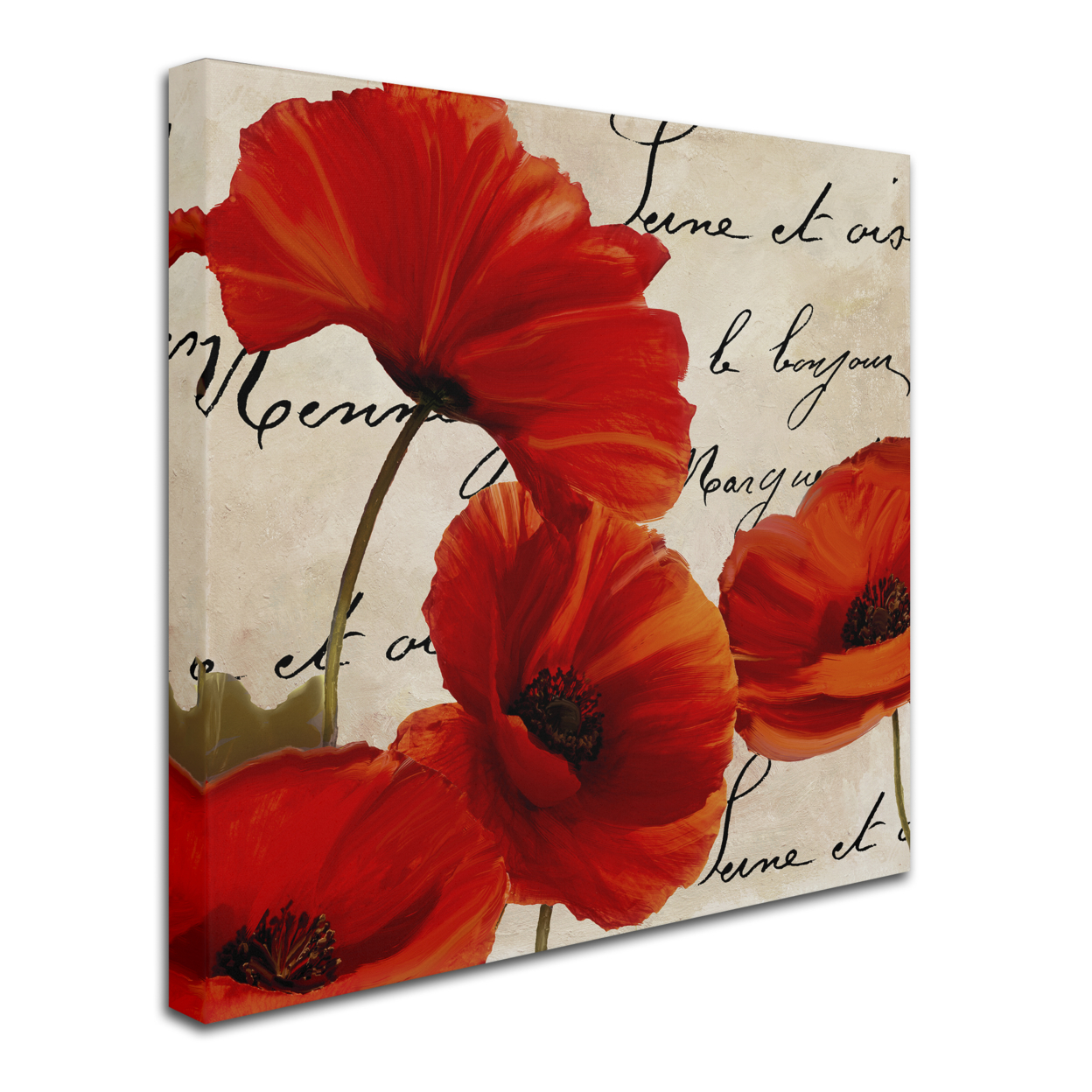 Color Bakery 'Coquelicots Rouge I' Huge Canvas Art 35 X 35