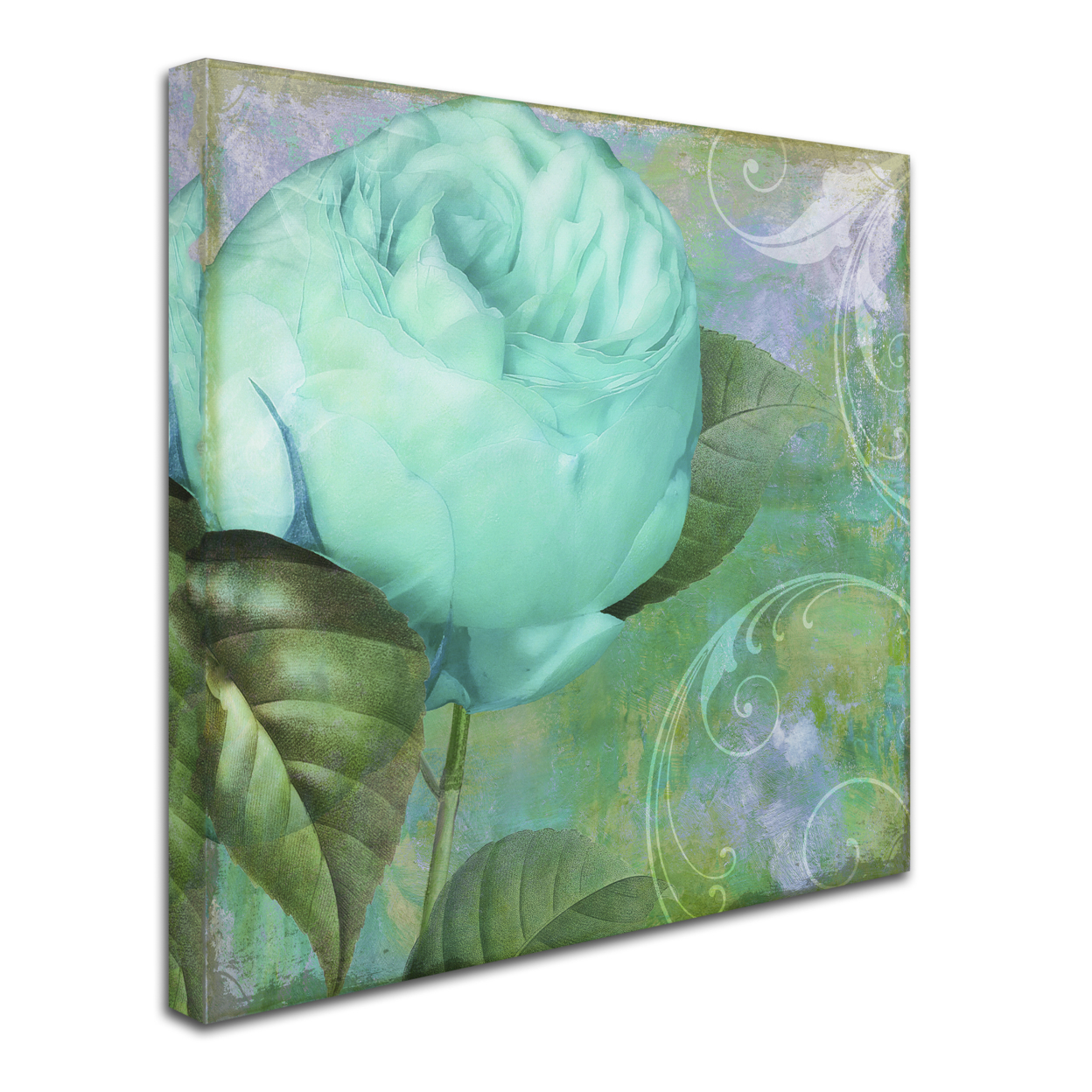 Color Bakery 'Aqua Rose I' Huge Canvas Art 35 X 35