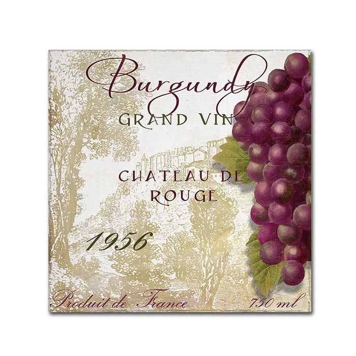Color Bakery 'Grand Vin Burgundy' Huge Canvas Art 35 X 35