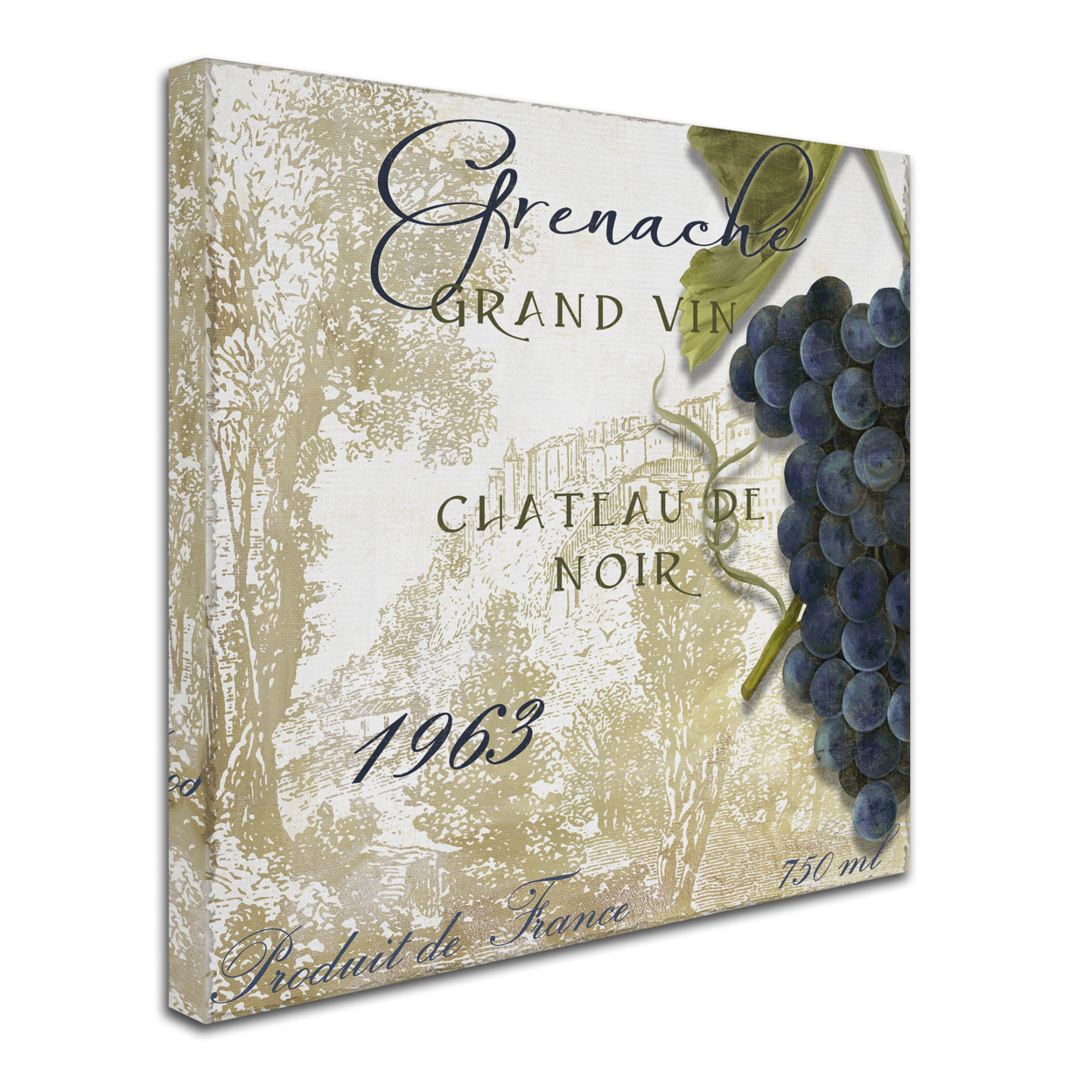 Color Bakery 'Grand Vin Grenache' Huge Canvas Art 35 X 35