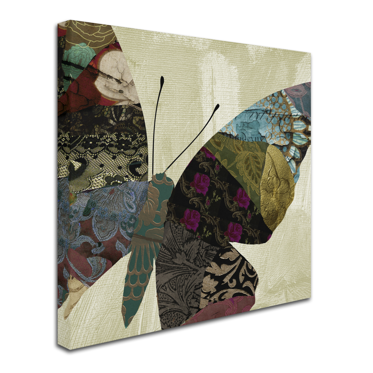 Color Bakery 'Butterfly Brocade IV' Huge Canvas Art 35 X 35