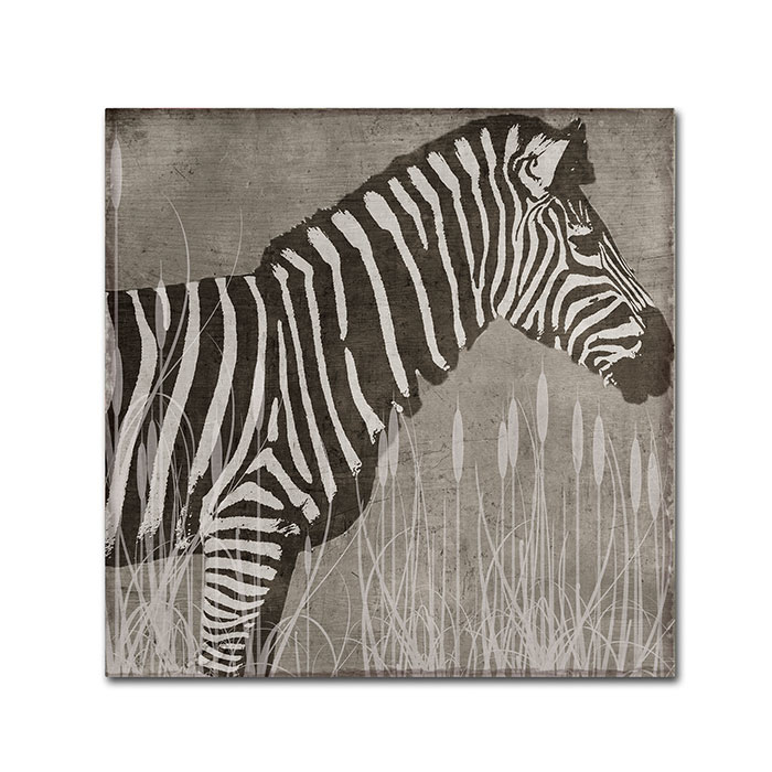 Color Bakery 'Zebra' Huge Canvas Art 35 X 35
