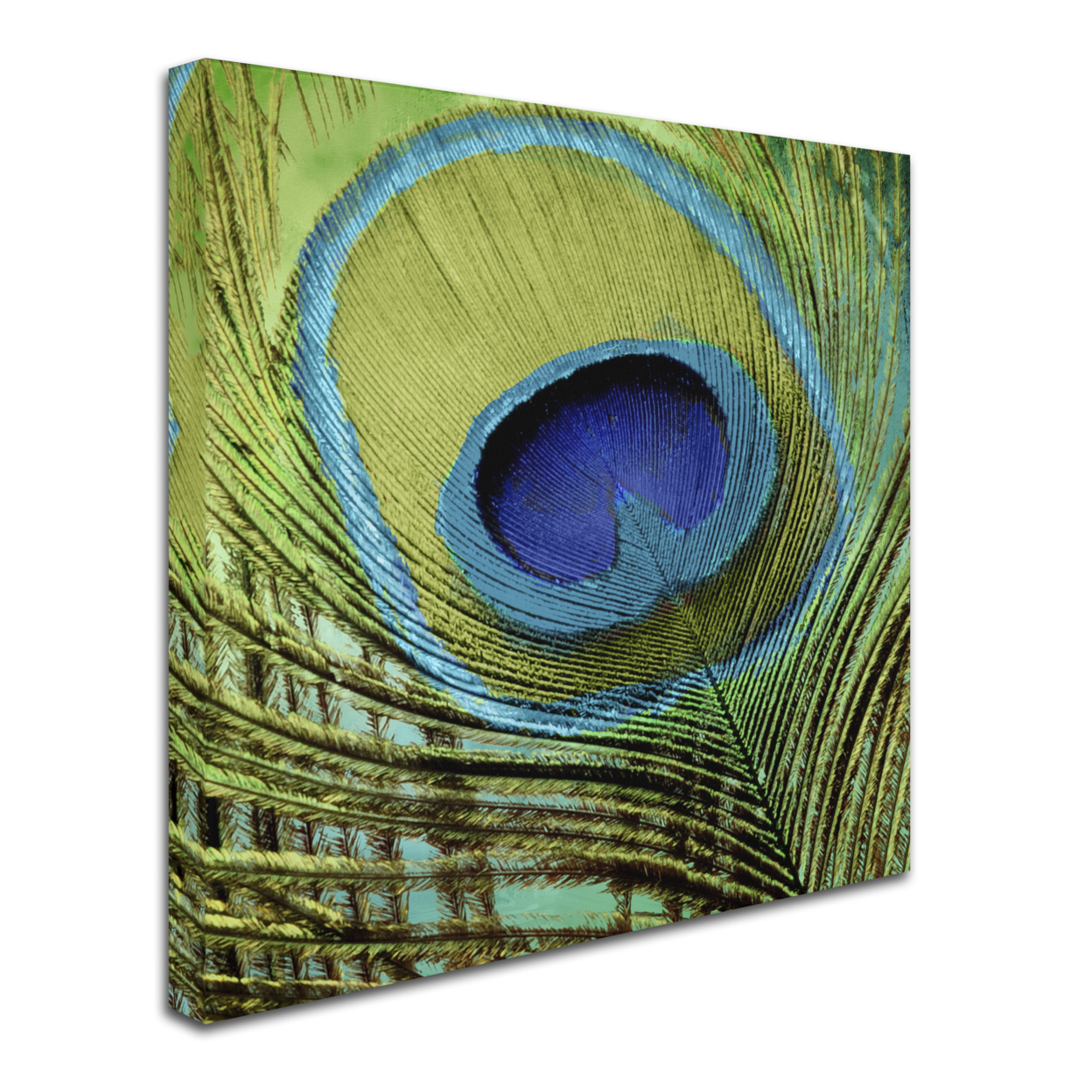 Color Bakery 'Peacock Candy V' Huge Canvas Art 35 X 35