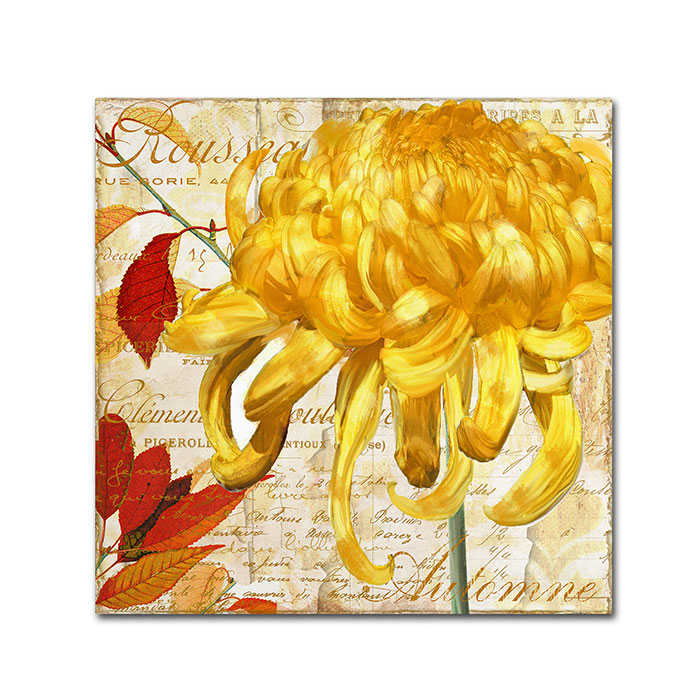 Color Bakery 'Chrysanthemums II' Huge Canvas Art 35 X 35