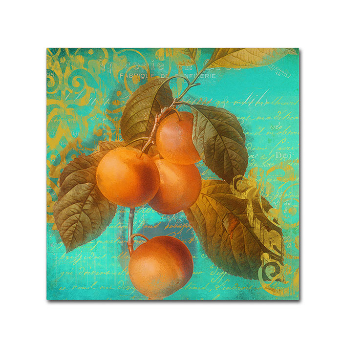 Color Bakery 'Glowing Fruits I' Huge Canvas Art 35 X 35