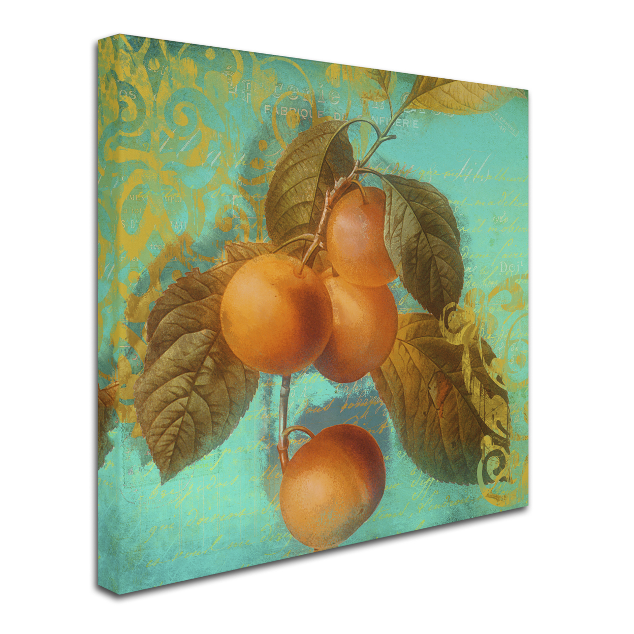 Color Bakery 'Glowing Fruits I' Huge Canvas Art 35 X 35