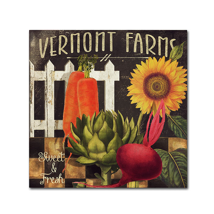 Color Bakery 'Vermont Farms VIII' Huge Canvas Art 35 X 35