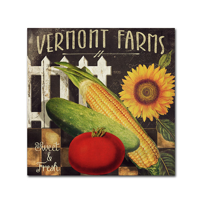 Color Bakery 'Vermont Farms VII' Huge Canvas Art 35 X 35