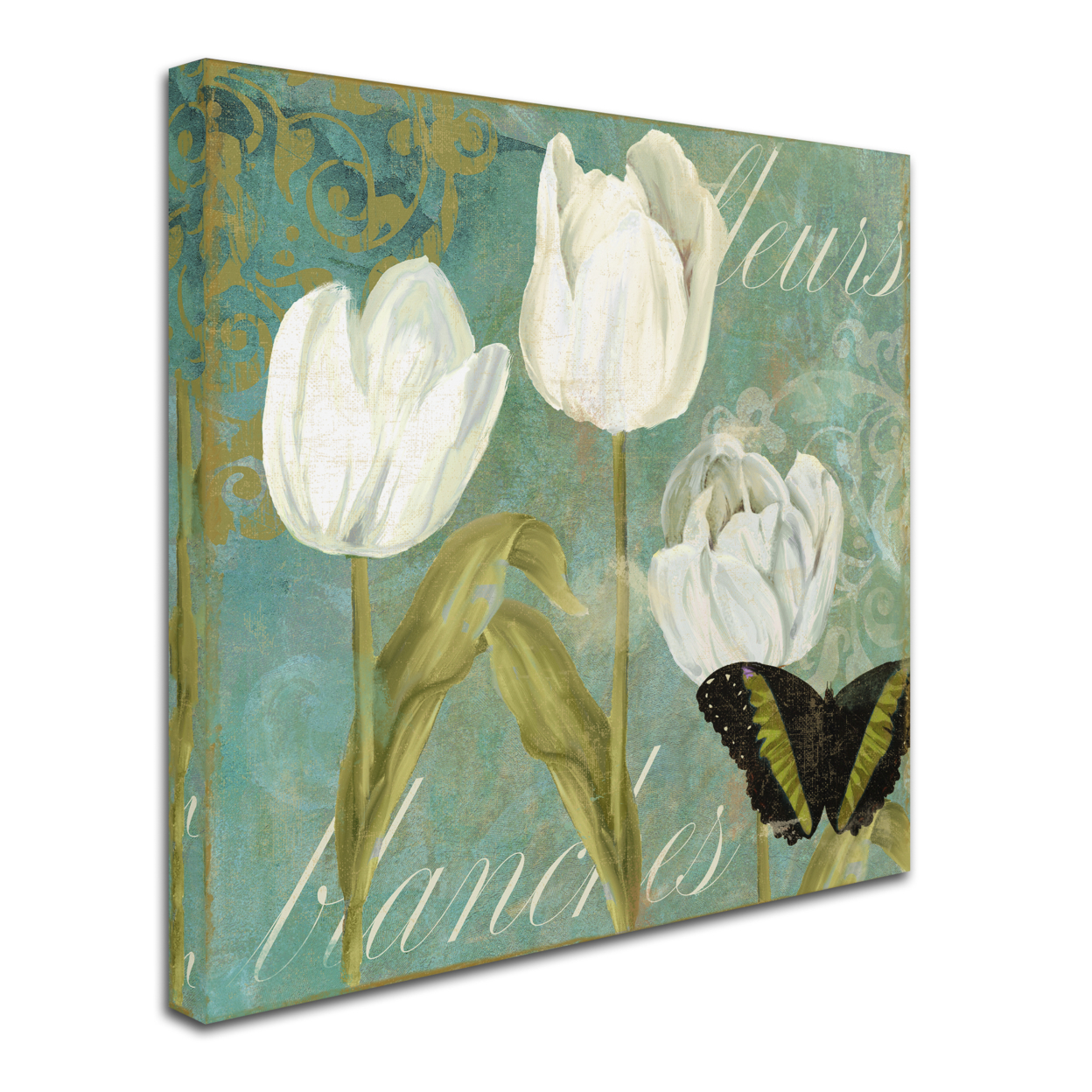 Color Bakery 'White Tulips I' Huge Canvas Art 35 X 35