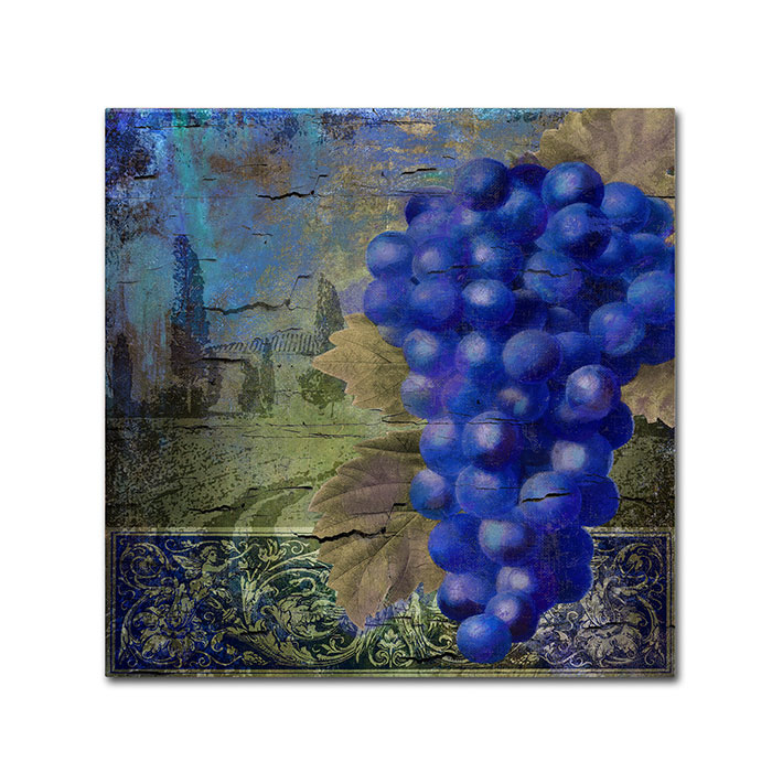 Color Bakery 'Vino Blu One' Huge Canvas Art 35 X 35