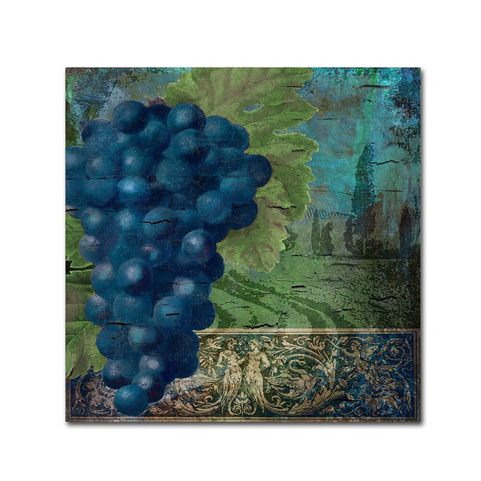 Color Bakery 'Vino Blu Two' Huge Canvas Art 35 X 35