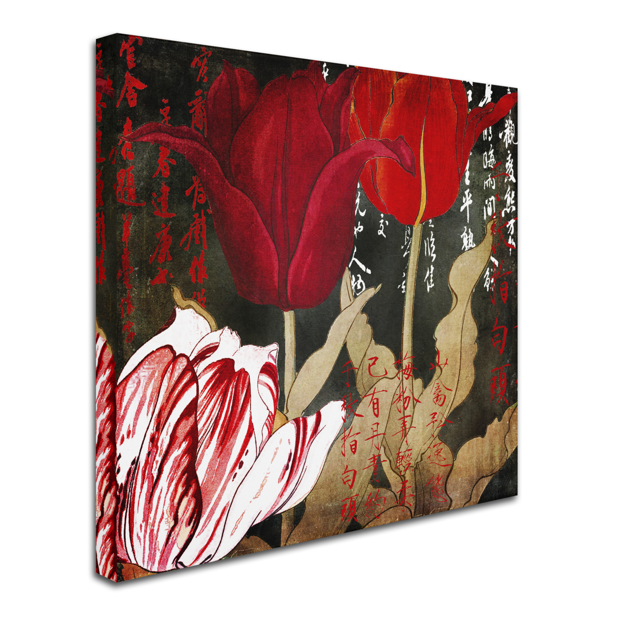 Color Bakery 'China Red II' Huge Canvas Art 35 X 35