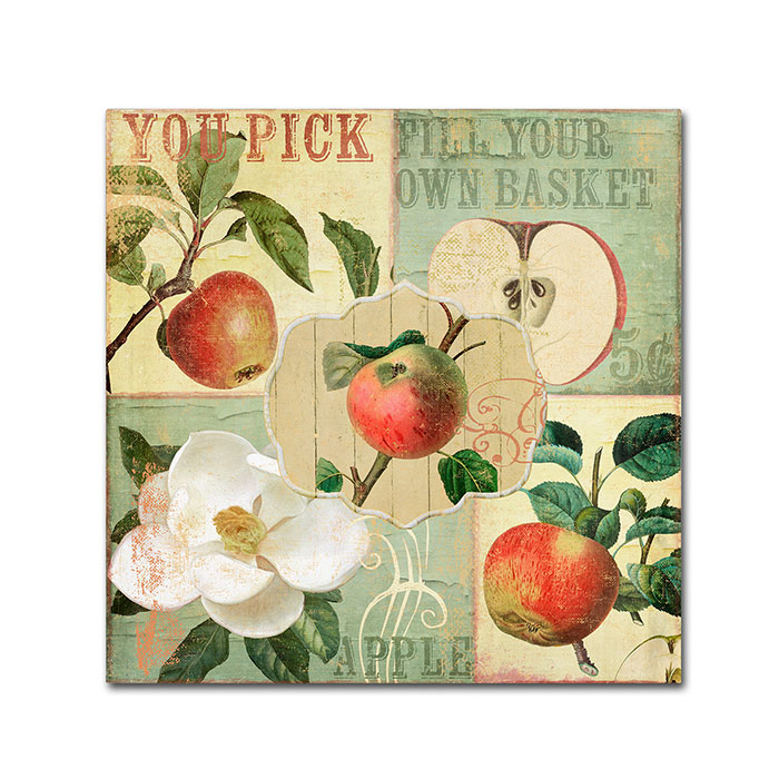 Color Bakery 'Apple Blossoms II' Huge Canvas Art 35 X 35