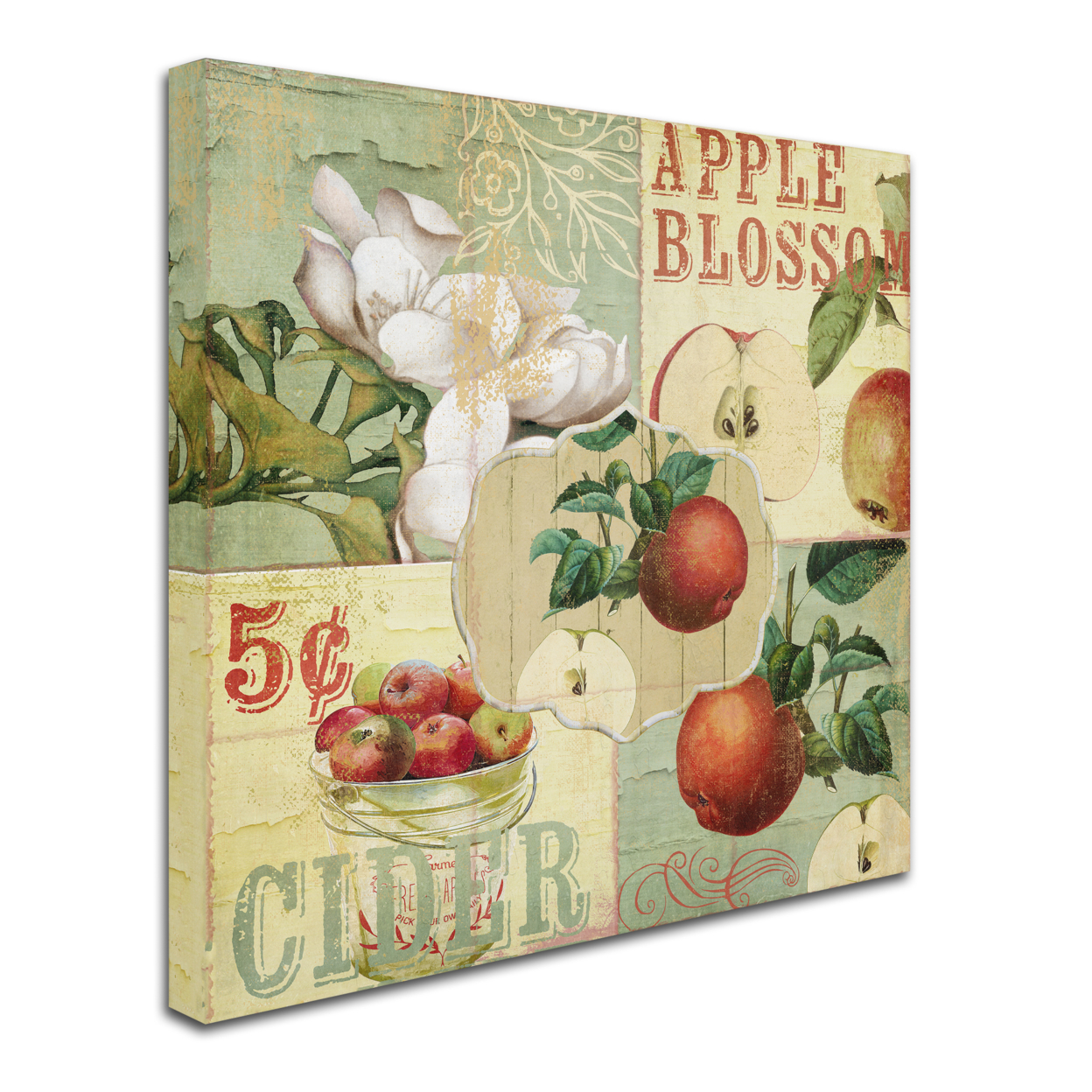 Color Bakery 'Apple Blossoms I' Huge Canvas Art 35 X 35