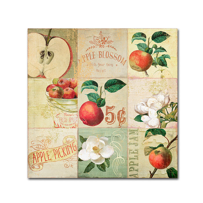 Color Bakery 'Apple Blossoms IV' Huge Canvas Art 35 X 35