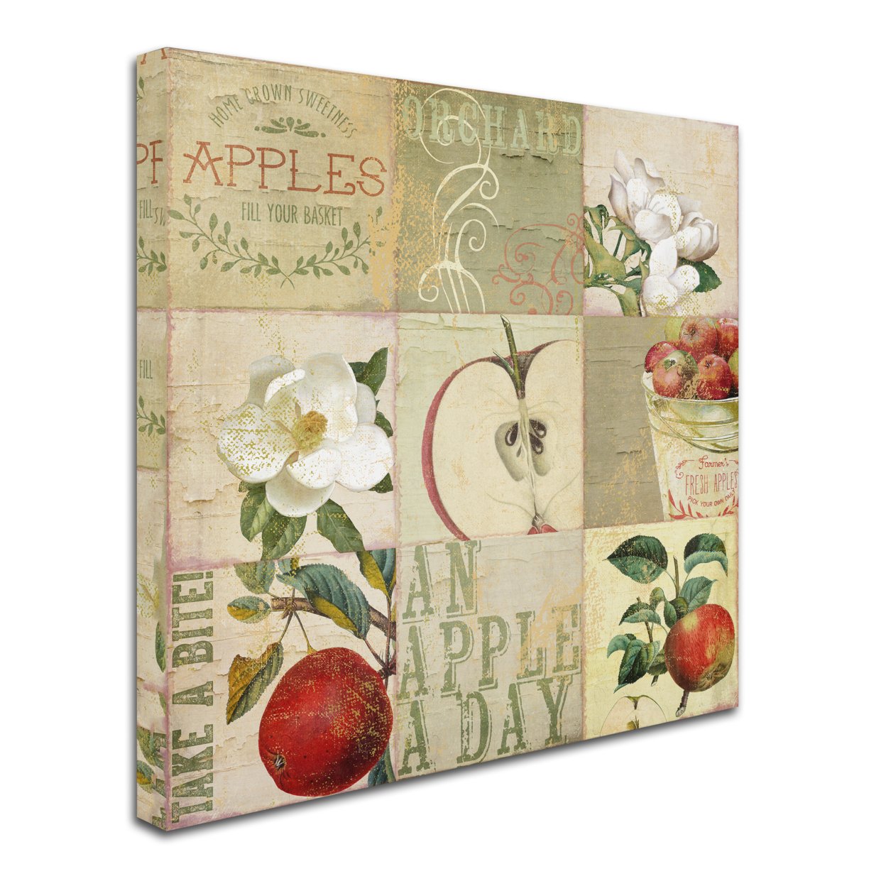 Color Bakery 'Apple Blossoms III' Huge Canvas Art 35 X 35