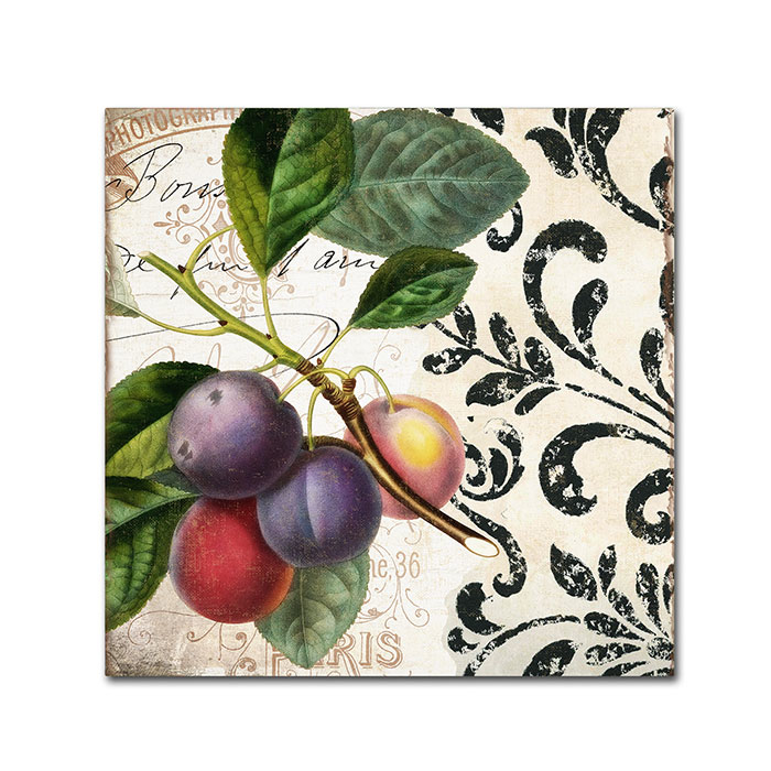 Color Bakery 'Les Fruits Jardin III' Huge Canvas Art 35 X 35