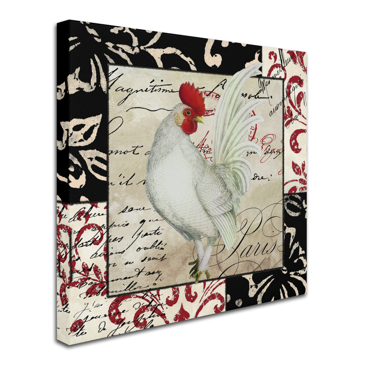Color Bakery 'Europa White Rooster' Huge Canvas Art 35 X 35