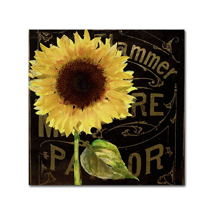 Color Bakery 'Sunflower Salon I' Huge Canvas Art 35 X 35