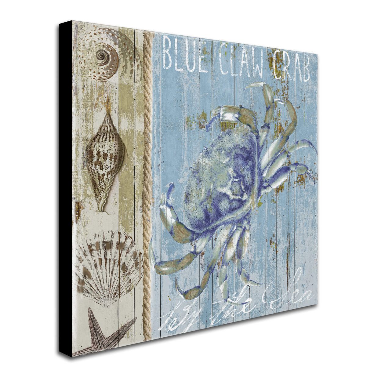 Color Bakery 'Blue Crab I' Huge Canvas Art 35 X 35